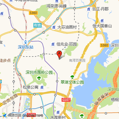 金鹏社康中心(罗湖医院集团)