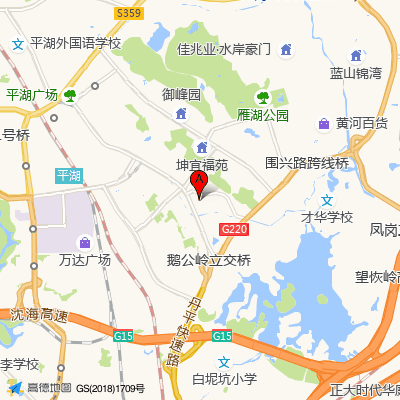 深圳大学附属华南医院 