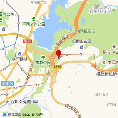广岭社康中心(罗湖医院集团)