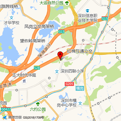 排榜社康中心（龙岗宝兴医院）