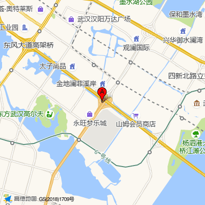 武汉亚心总医院
