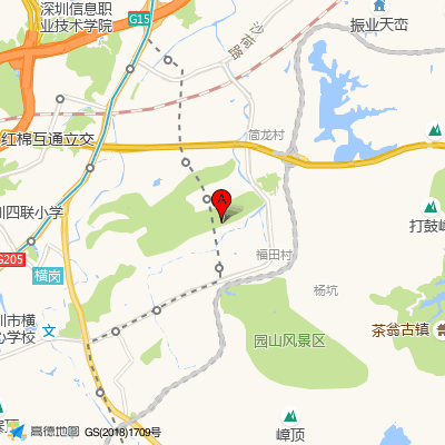大康社康中心（龙岗第三人民医院）