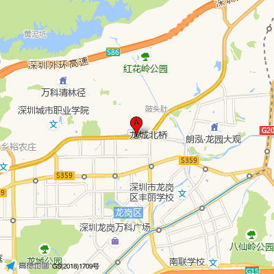 中央悦城社康中心（龙岗人民医院）