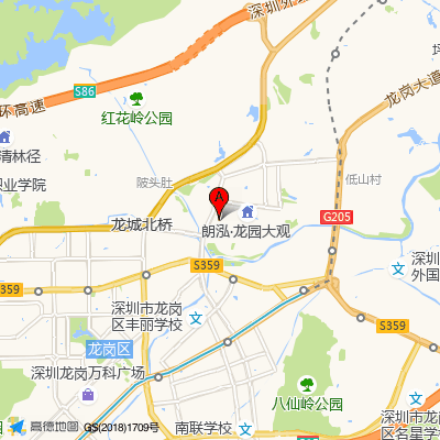盛平社康中心（龙岗中心医院）