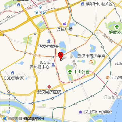 华中科技大学同济医学院医院-整形美容科