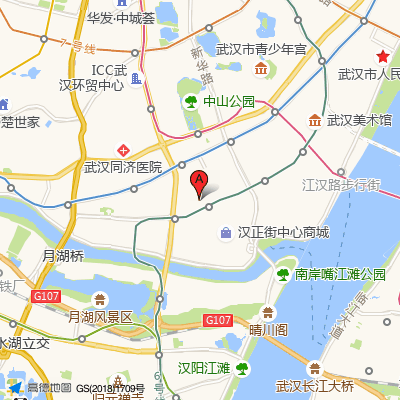 华中科技大学同济医学院附属普爱医院（武汉第四医院& 武汉市骨科医院）