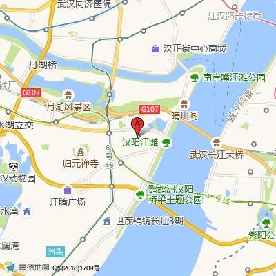 武汉友好医院