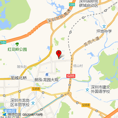 新生社康中心（龙岗中心医院）