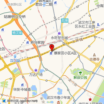 武汉市第十一医院