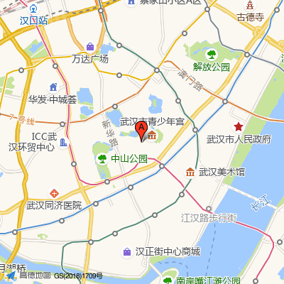 华中科技大学同济医学院附属同济医院（中法新城院区）