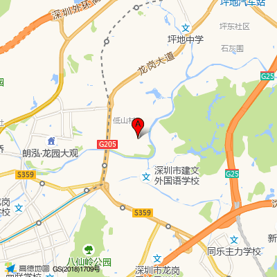 深圳市龙岗中心医院