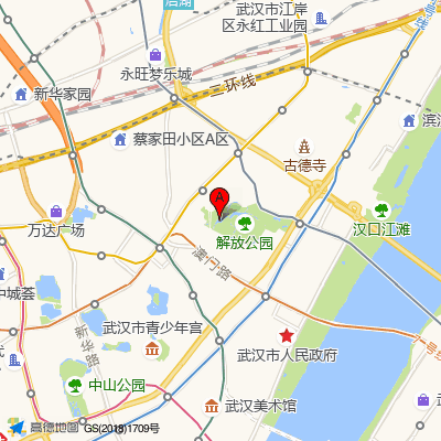 武汉儿童医院（武汉市妇幼保健院）