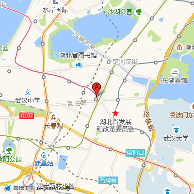 武汉市第七医院
