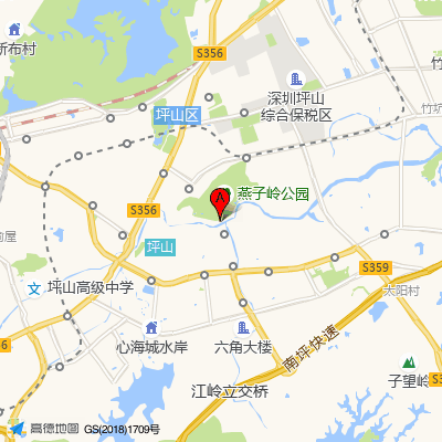 深圳市坪山区人民医院