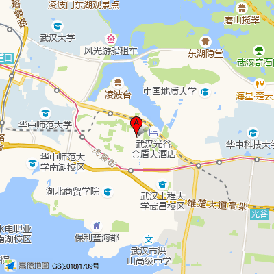 湖北省荣军医院泌尿外科中心