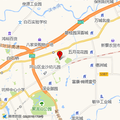 深圳市坪山区中心医院