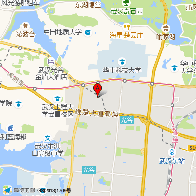 德亚口腔连锁-光谷院（武汉）