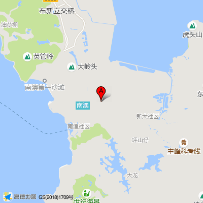 新大社康中心（大鹏南澳医院）