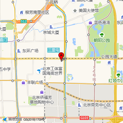 首都医科大学附属北京朝阳医院