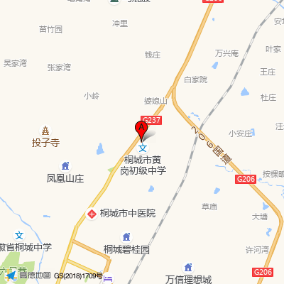 桐城市中医医院