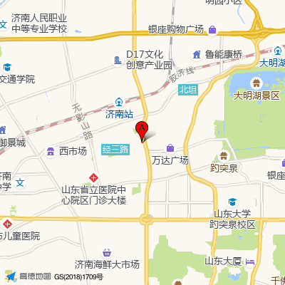山东大学附属生殖医院
