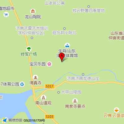 济南市南山人民医院