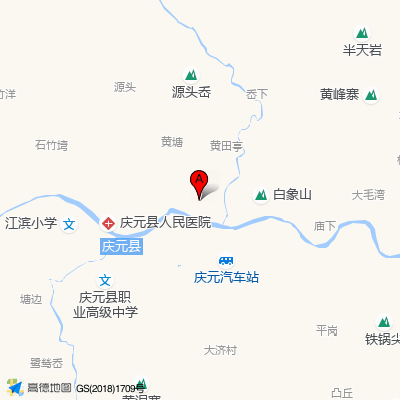 庆元县中医院