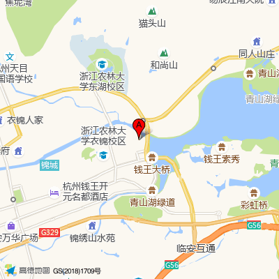 临安中医院