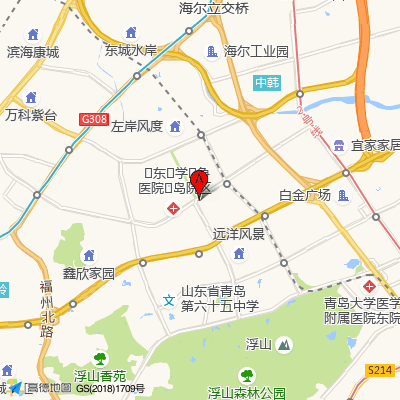 青岛浮新医院