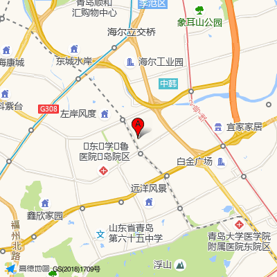 山东大学齐鲁医院青岛院区