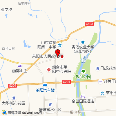 烟台市莱阳中心医院
