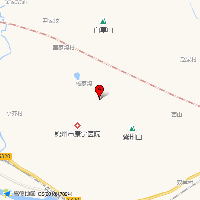 锦州市康宁医院
