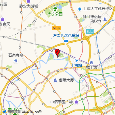 上海碧莲盛植发