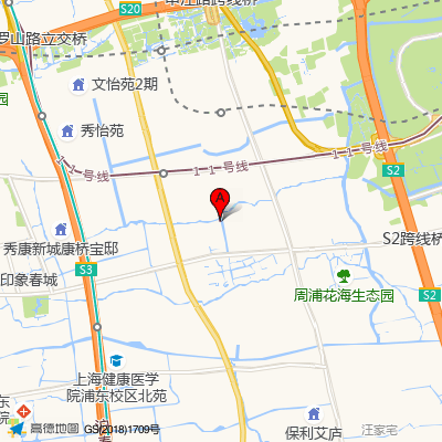 上海国际医学中心