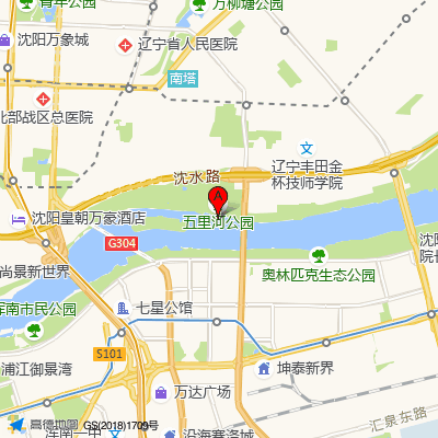 中一东北国际医院