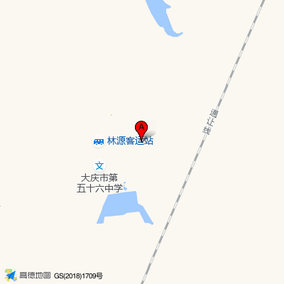 大庆市大同区林源医院