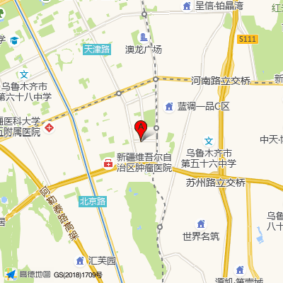 新疆药业集团附属医院